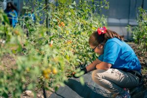 IDEA Public Schools Farm